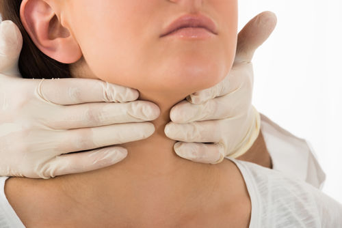 Нормы размеров щитовидной железы на УЗИ
